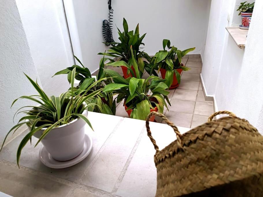 Apartamento Alberzana - Barrio Albaicin - Granada Ngoại thất bức ảnh